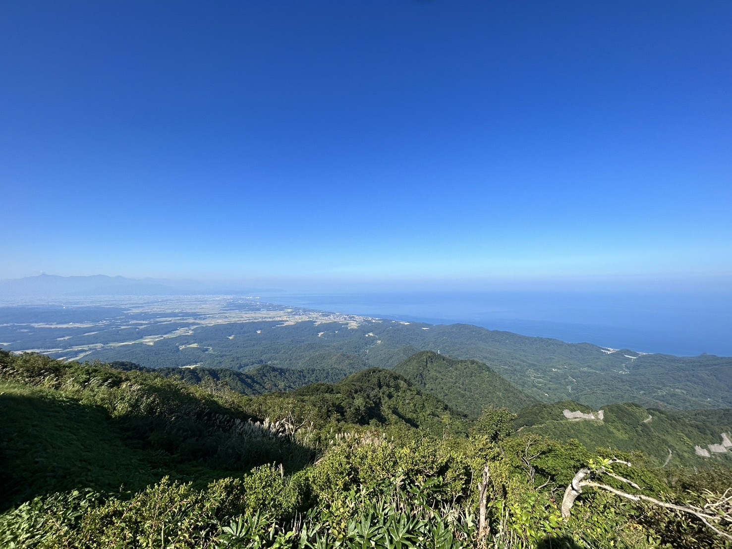 米山登山に行ってきました！