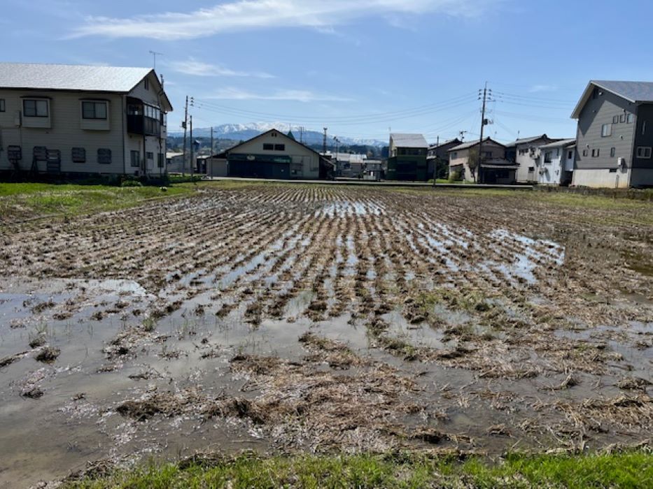 季節のリズムを感じること