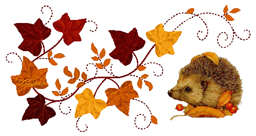 Herbstliche Trennlinien - lillyssammelsuriums Jimdo-Page!