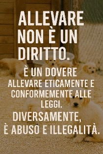 Mettersi in regola conviene: perché oggi uscire dal sommerso è più facile, più utile e più giusto
