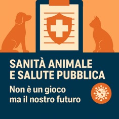 Sanità Animale e Salute Pubblica: L’Allevamento Responsabile Come Pilastro del Futuro
