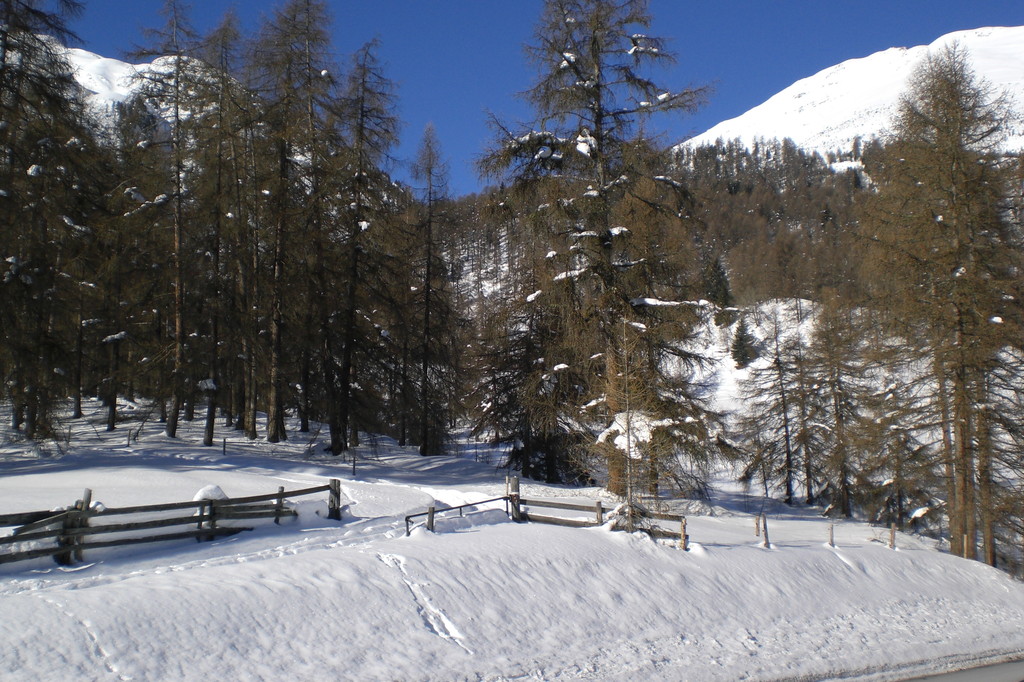Sagliains  → Zernez