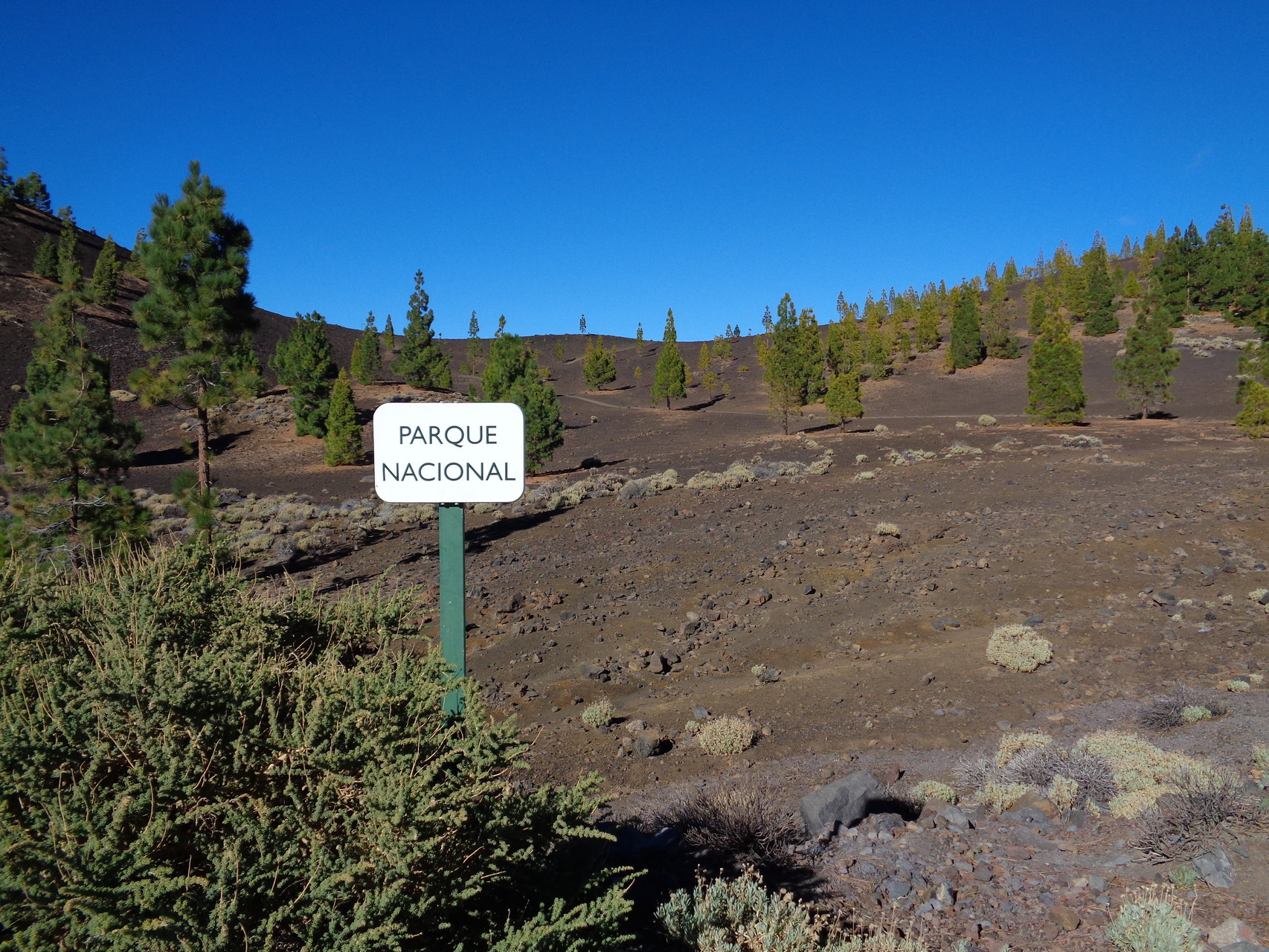 Nationalpark del Teide - im Zentrum der Insel
