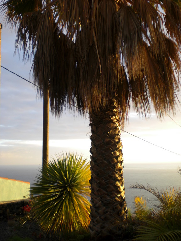 Garten Bungalow (Blick in westlicher Richtung)