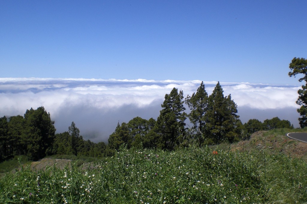 unterwegs zum Caldera de Taburiente (hier ein Aussichtspunkt auf ca. 1700 m. ü. M.)