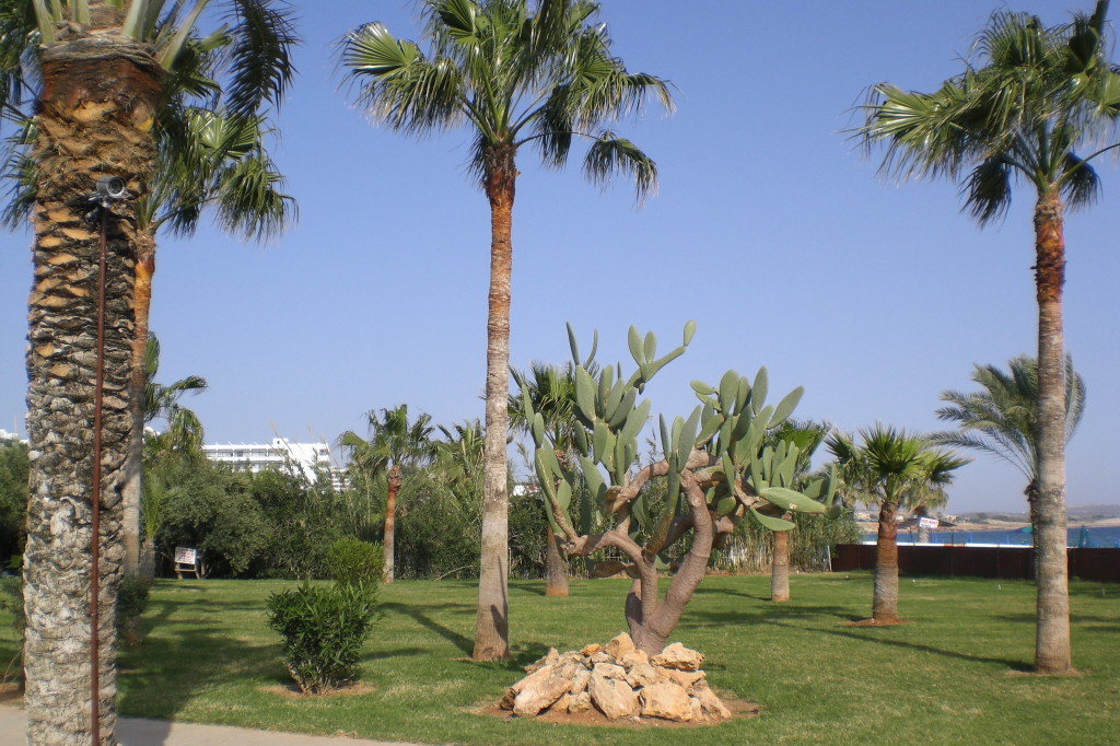 Strandimpressionen Ayia Napa