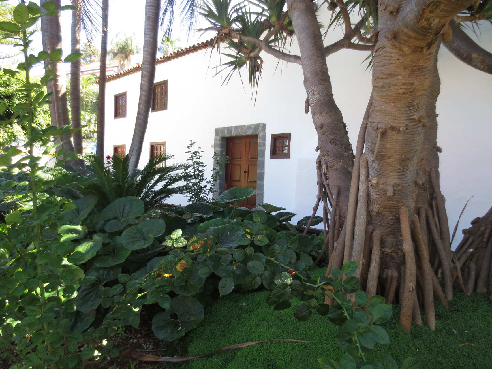 El Sauzal - Iglesia de San Pedro - El Sauzal ist einer der schönsten Orte auf Teneriffa - Das Zentrum des Ortes liegt 300 m hoch über dem Atlantik auf einem Klippenrand - Nordosten der Insel