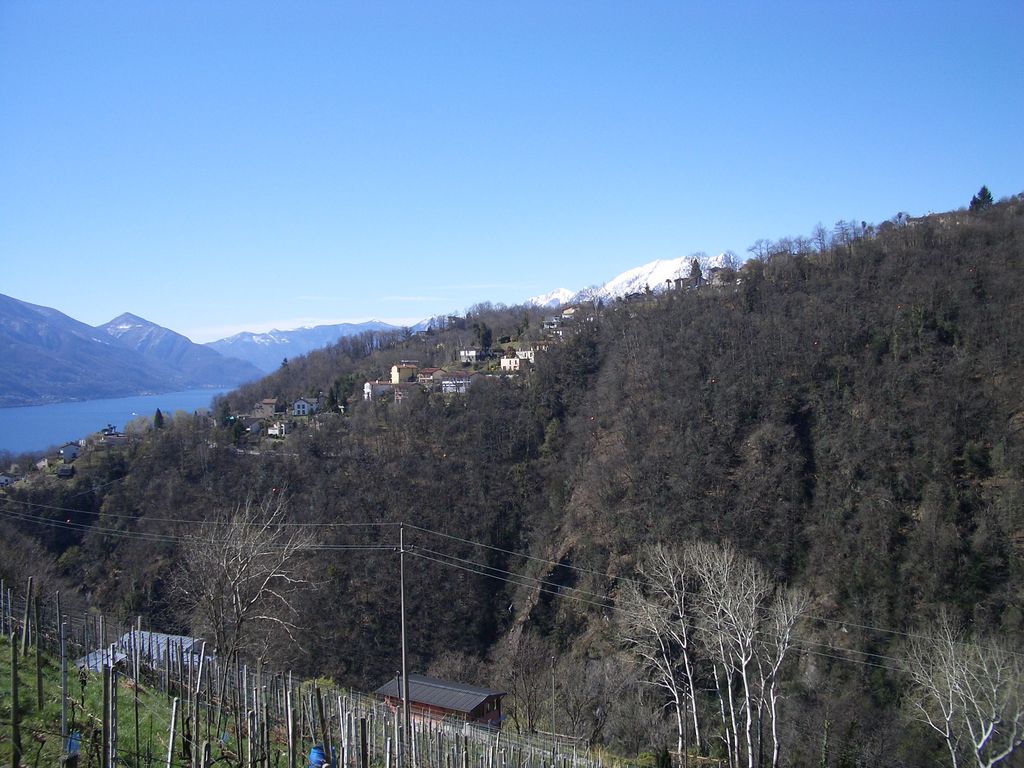 oberhalb von Gordola mit Blick Richtung Südwesten