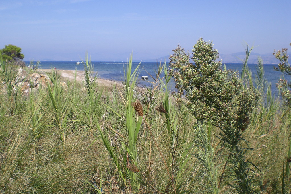 Impressionen vom südlichsten Punkt der Insel