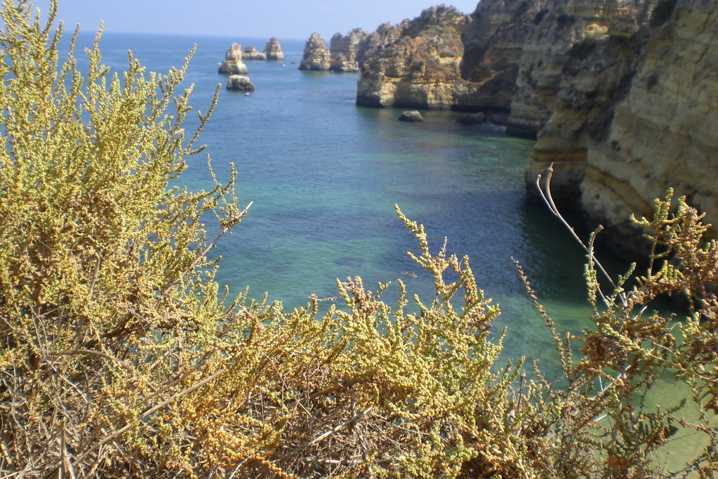 Lagos, Ponta da Piedade: Faszinierende Küstenlandschaft bei Praia do Dona Ana