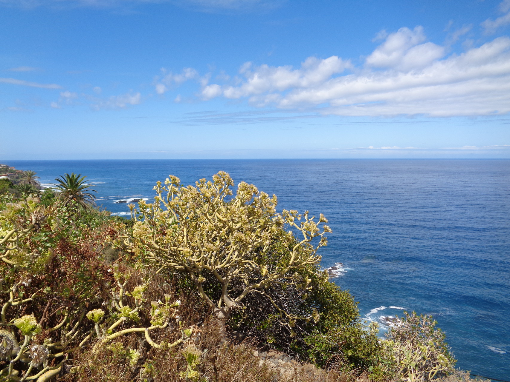 San Juan de la Rambla - malerisches Städtchen im Nordwesten der Insel