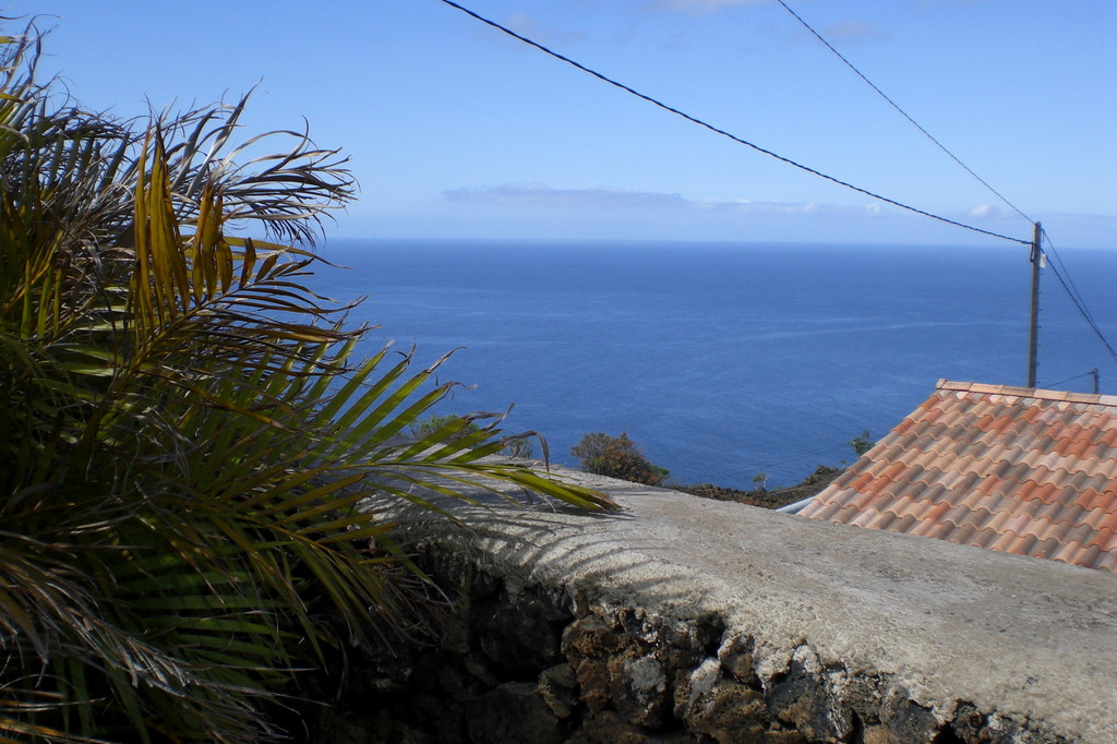 Garten Bungalow (Blick Richtung Südwesten)