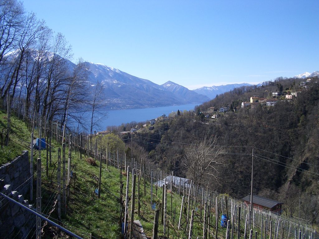 oberhalb von Gordola mit Blick auf den Lago Maggiore