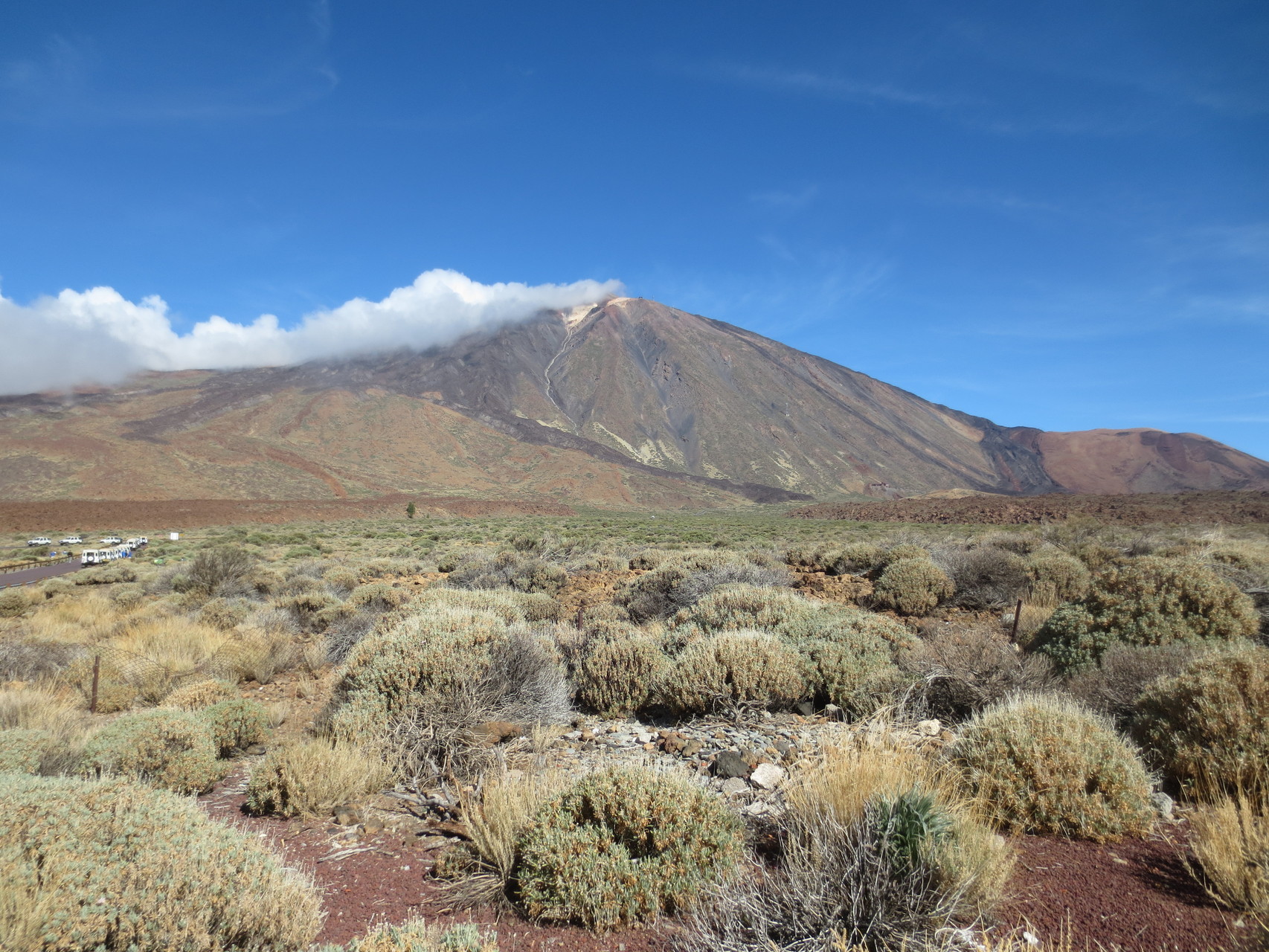 Nationalpark del Teide - Hochebene Las Cañadas - im Hintergrund der Pico del Teide