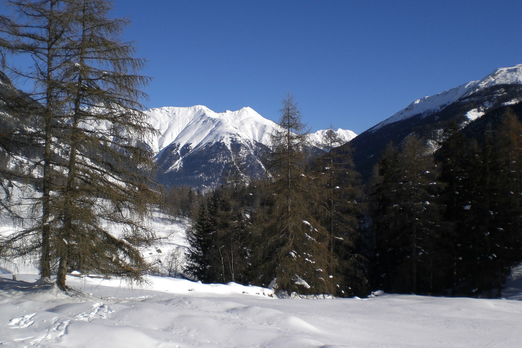 Sagliains  → Zernez
