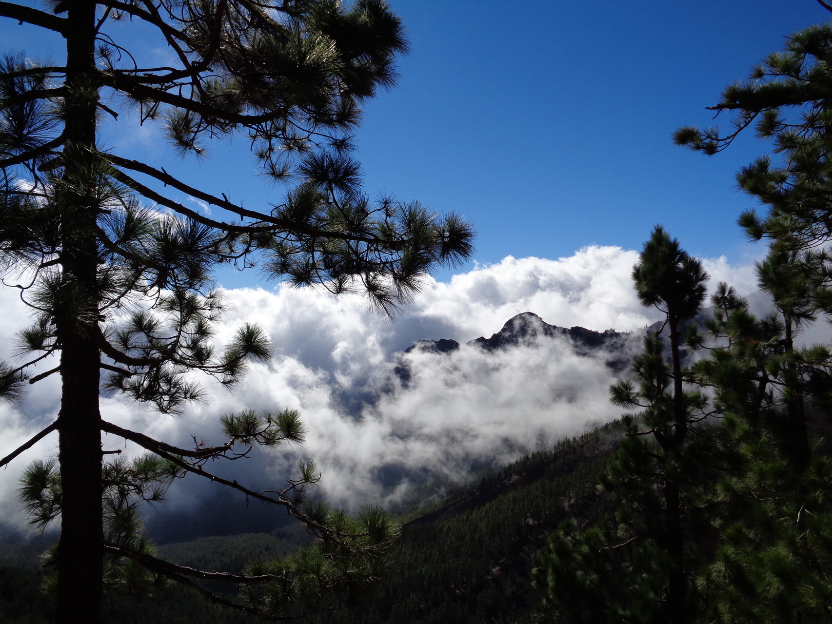 Nationalpark del Teide - auf der schönsten Bergstrasse der Insel von La Laguna (Nordosten) bis Guía de Isora (Südwesten)