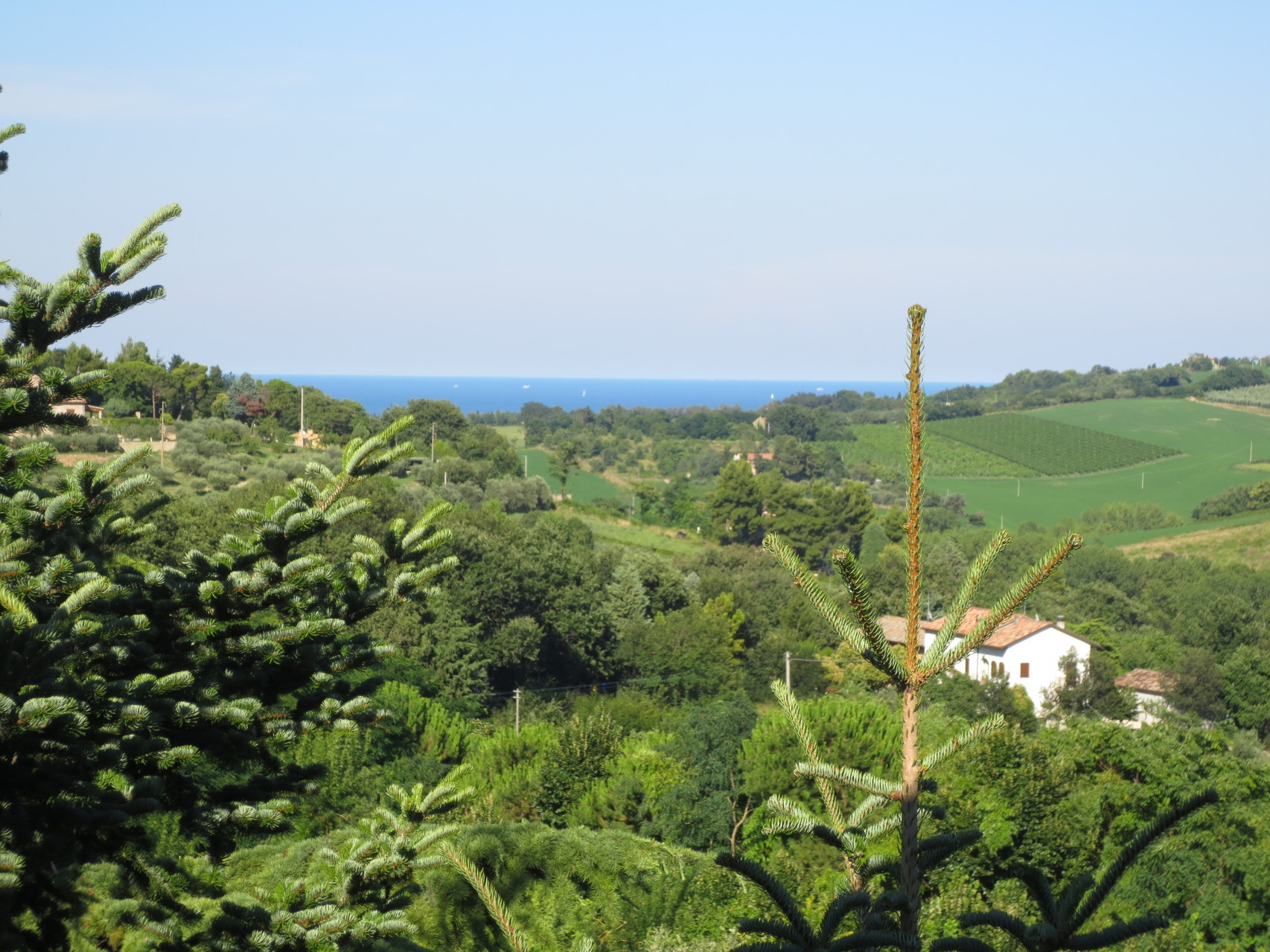 Villa Cattani Stuart XVII sec.: Blick von Balkon unserer Junior Suite Richtung Adria (Osten)