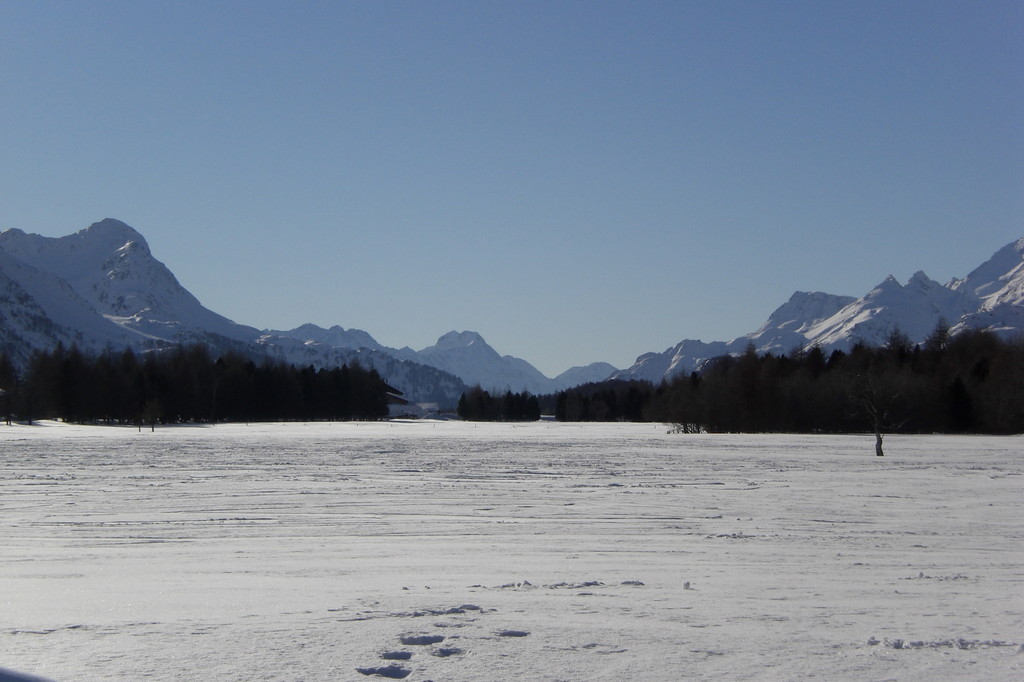 Sils