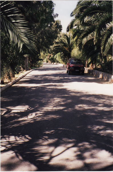 Apollonia Beach, Amoudara, Kreta