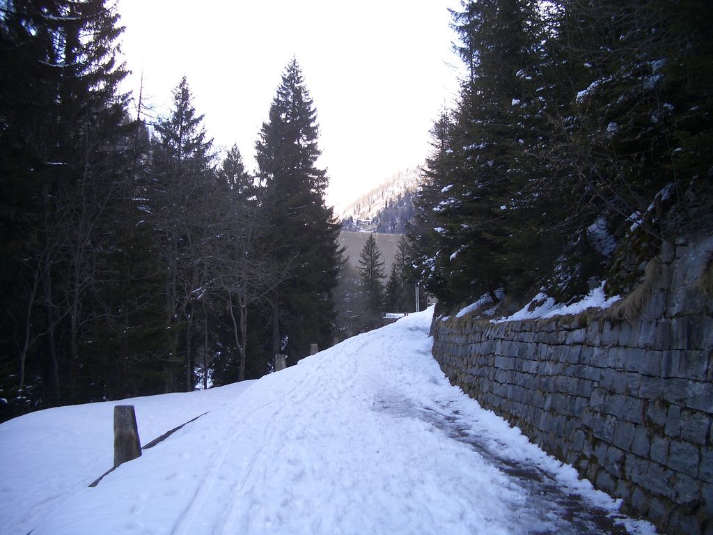 Staumauer von Fusio (mitte oben)