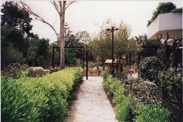 Apollonia Beach, Amoudara, Kreta