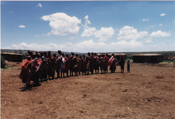 Masai Mara, 1. Safari-Tag, Tierwelt (Masai Dorf)