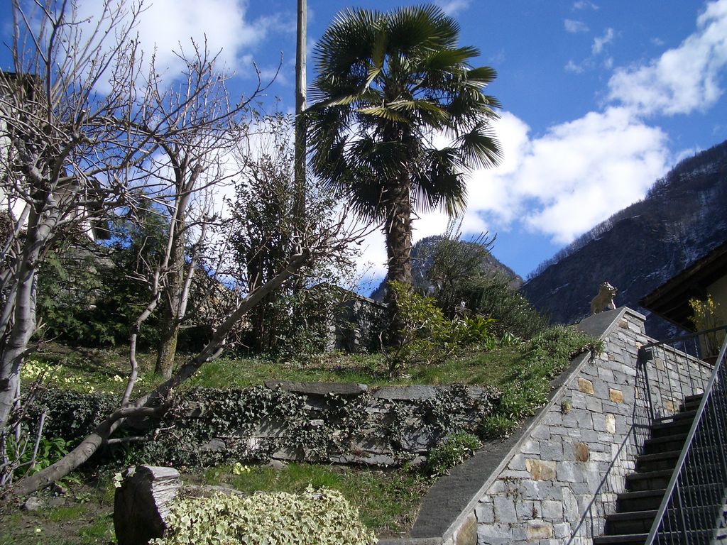 Besuch in Brontallo (zum z'Vieri); 750 m ü M