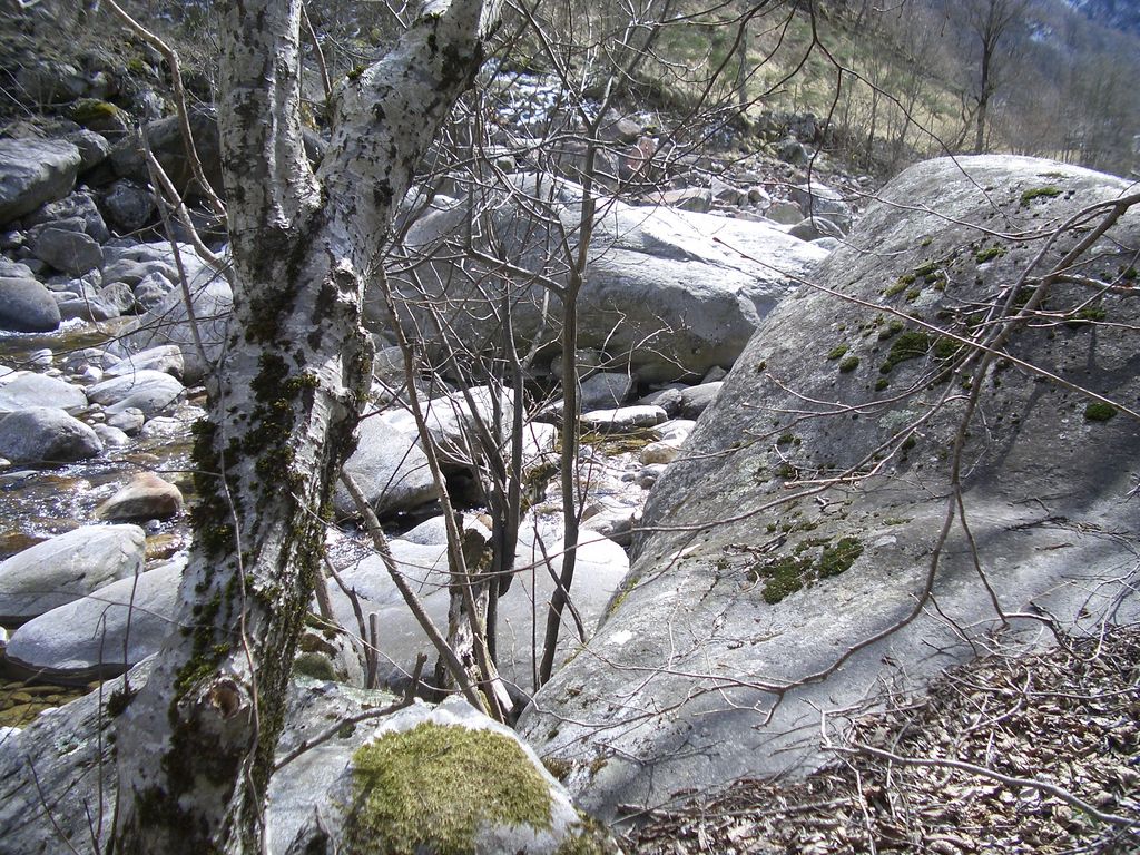 zwischen Brontallo und Menzonio am Ufer der Maggia