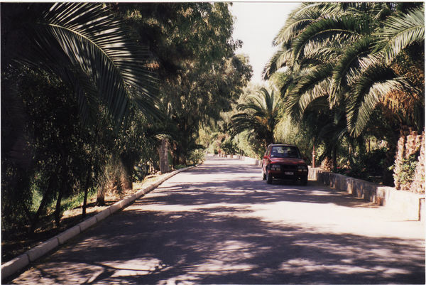Apollonia Beach, Amoudara, Kreta