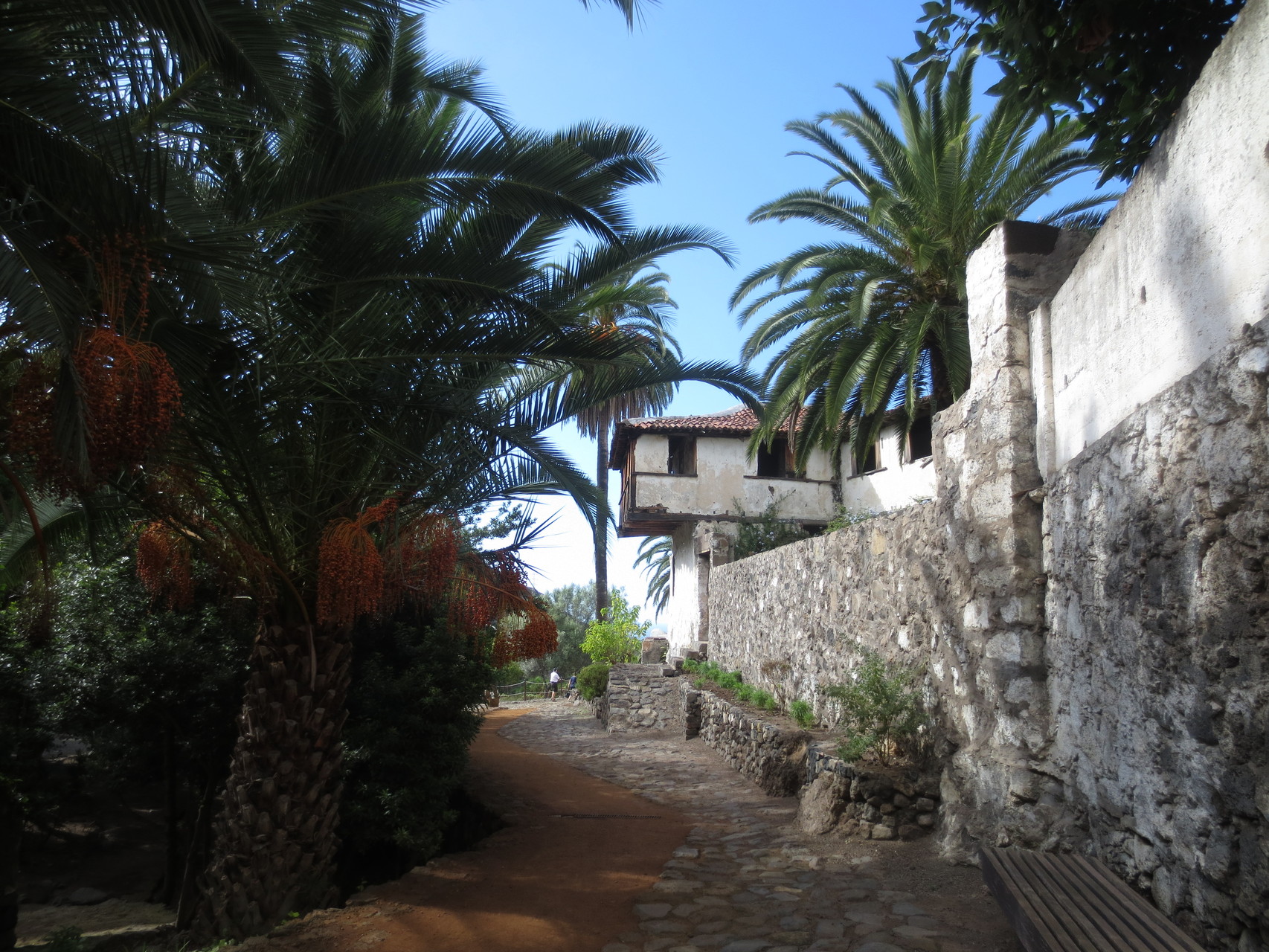 Icod de los Vinos: Casa del Drago - Drachenbaum - Parque del Drago