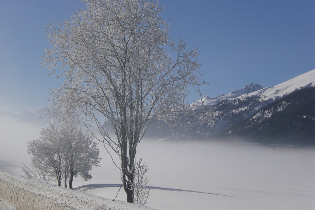 Sagliains  → Zernez