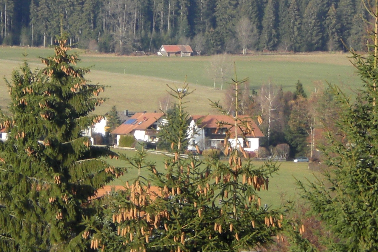 Seewald-Besenfeld: Blick auf einen Teil des Dorfes