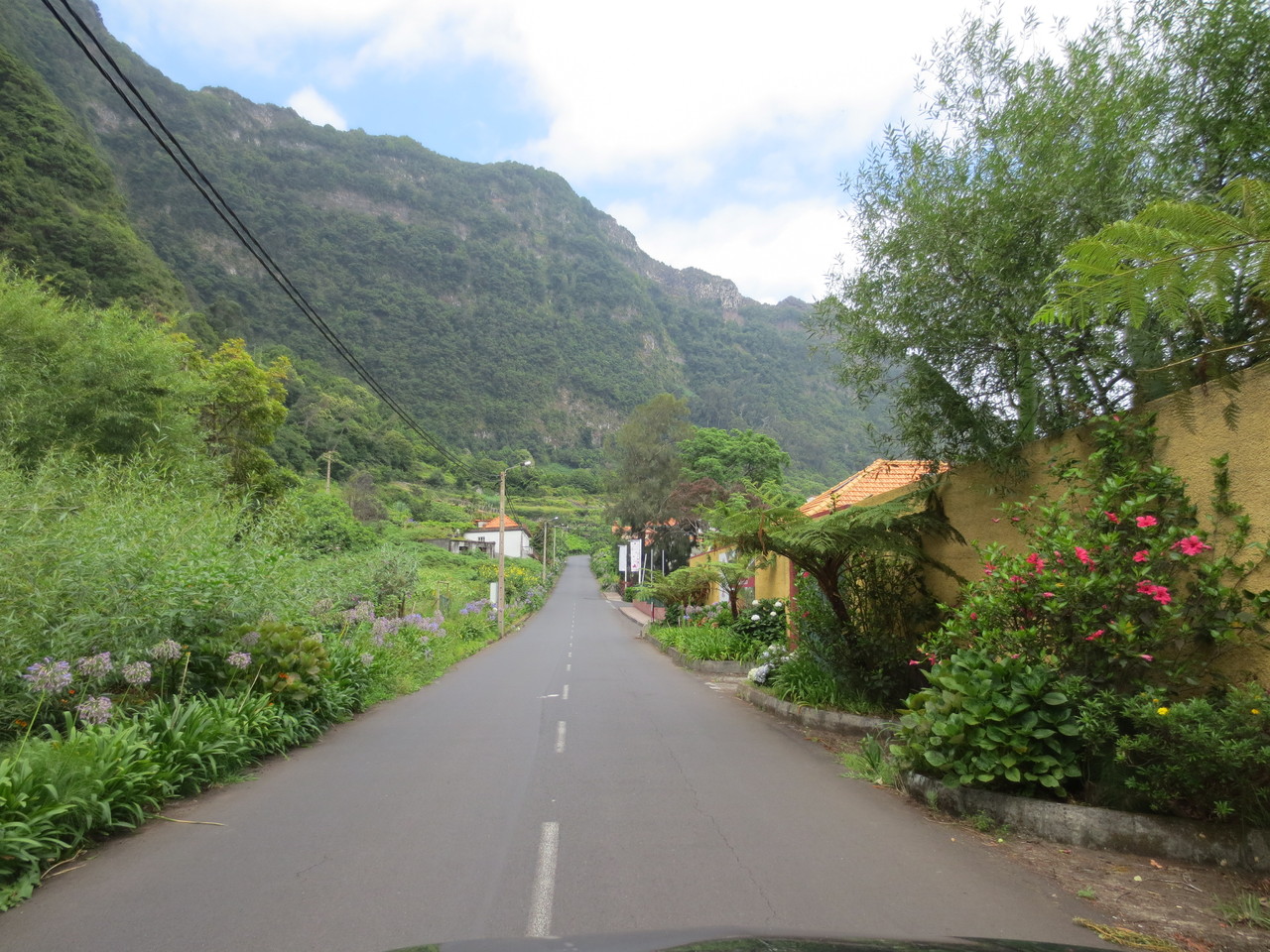 Im Norden der Insel Madeira hat man manchmal fast das Gefühl, dass man sich durch tropisches Gebiet bewegt. Faszinierend wie "saftig" hier alles ist.