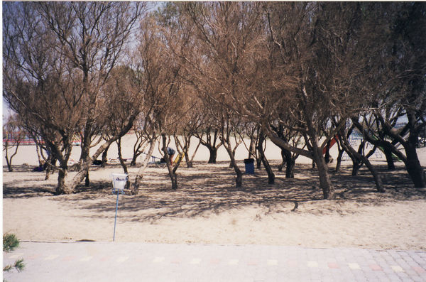 Apollonia Beach, Amoudara, Kreta