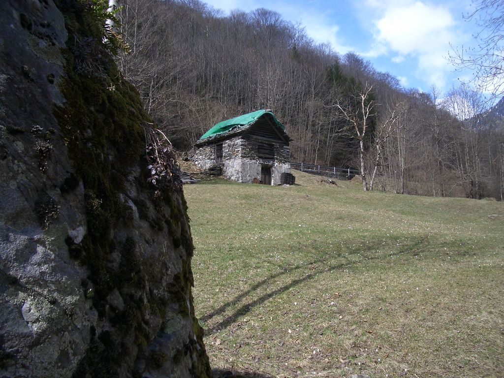 zwischen Brontallo und Menzonio am Ufer der Maggia