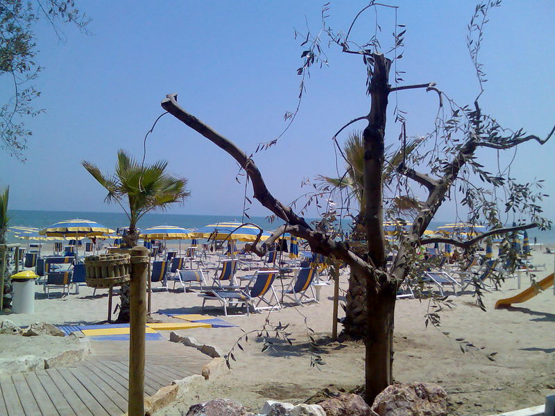 Schönes Lido in Giulianova