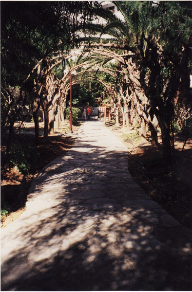 Apollonia Beach, Amoudara, Kreta