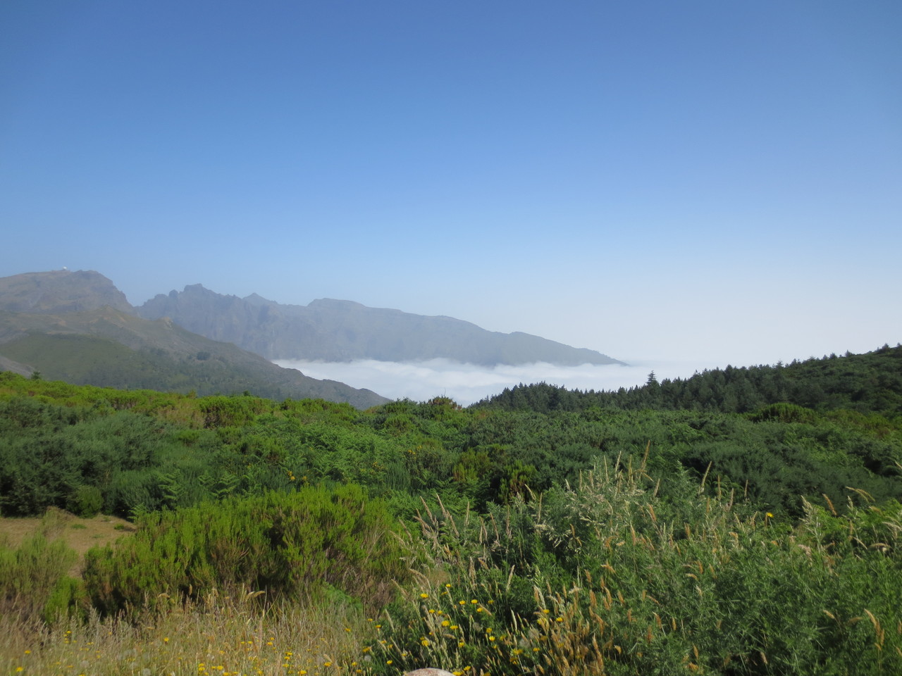 Im Zentrum des Eilands Madeira.., auf dem Weg zum Pico do Arieiro. Hier schon mal erste Impressionen aus der Gebirgslandschaft von Madeira.