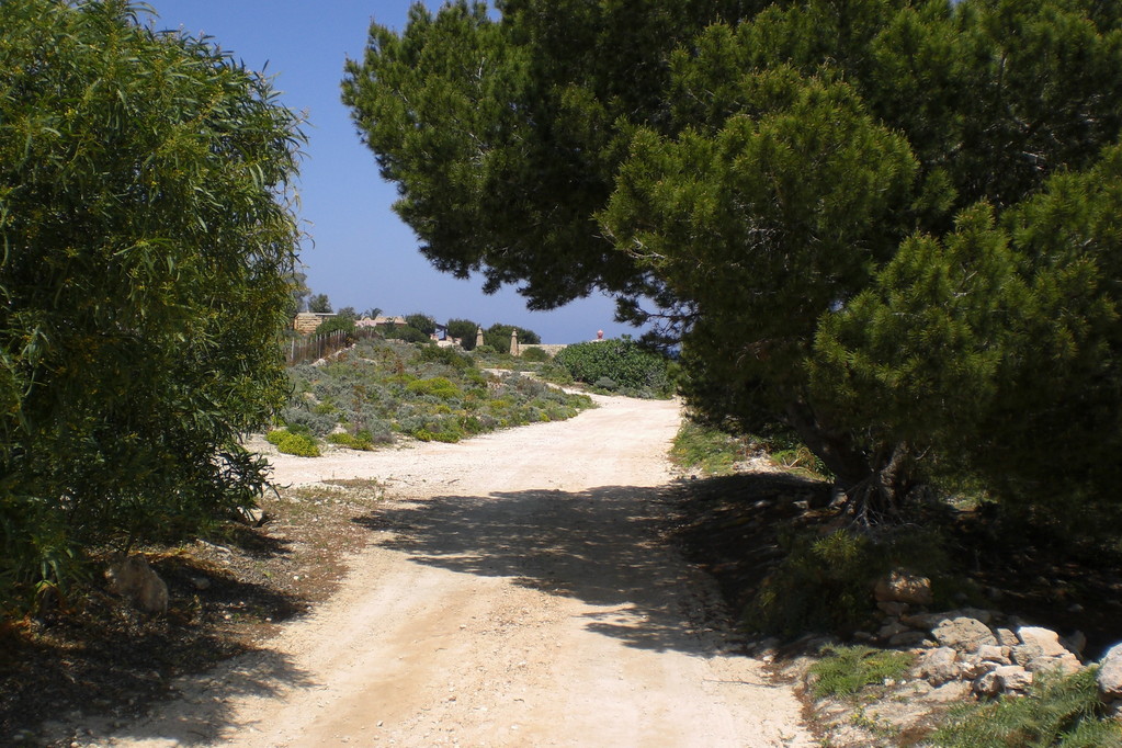 Impressionen von der (noch) mehrheitlich naturbelassenen Insel Comino