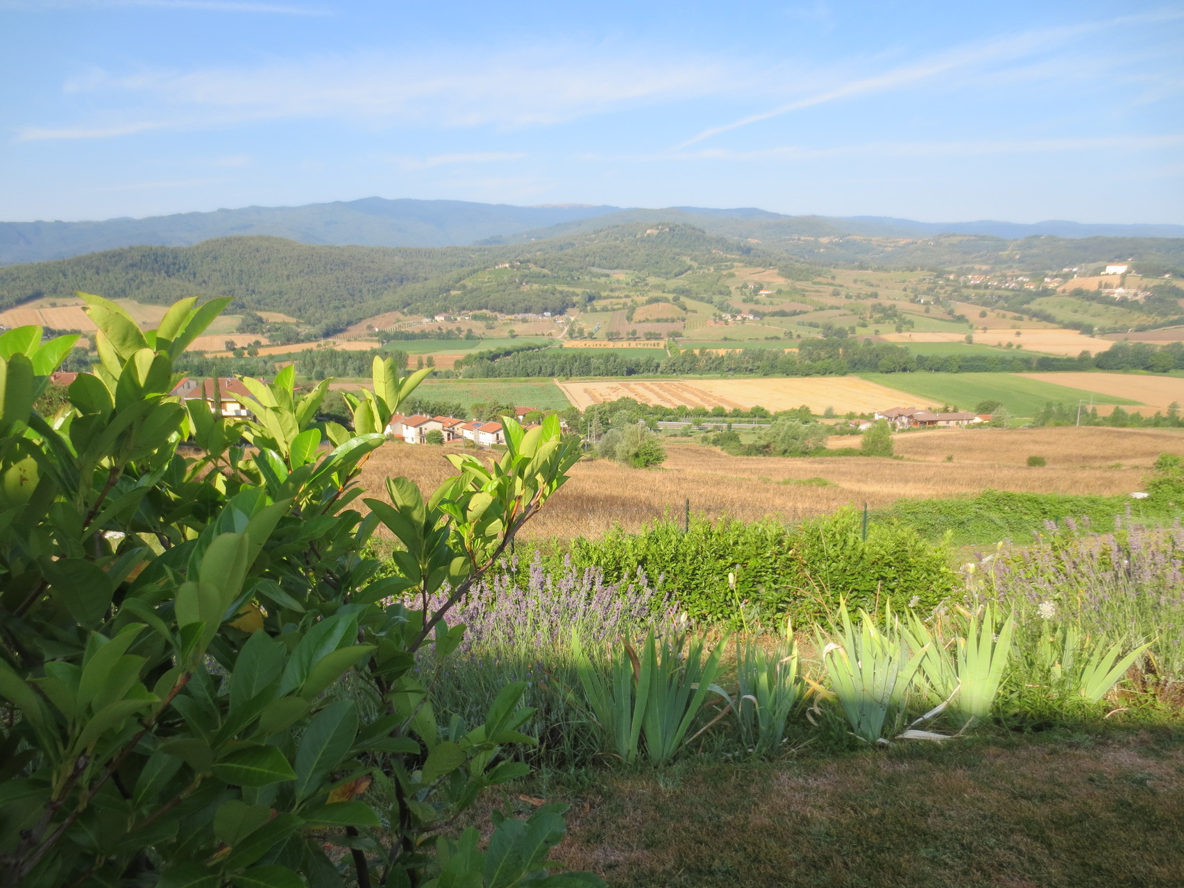Memmenano (Casentino/Toscana): Schönheit pur..., atemberaubender Blick auf die hügelige Landschaft des Casentino