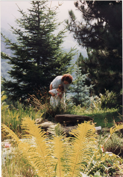 Unverkennbare Weggisser Flora