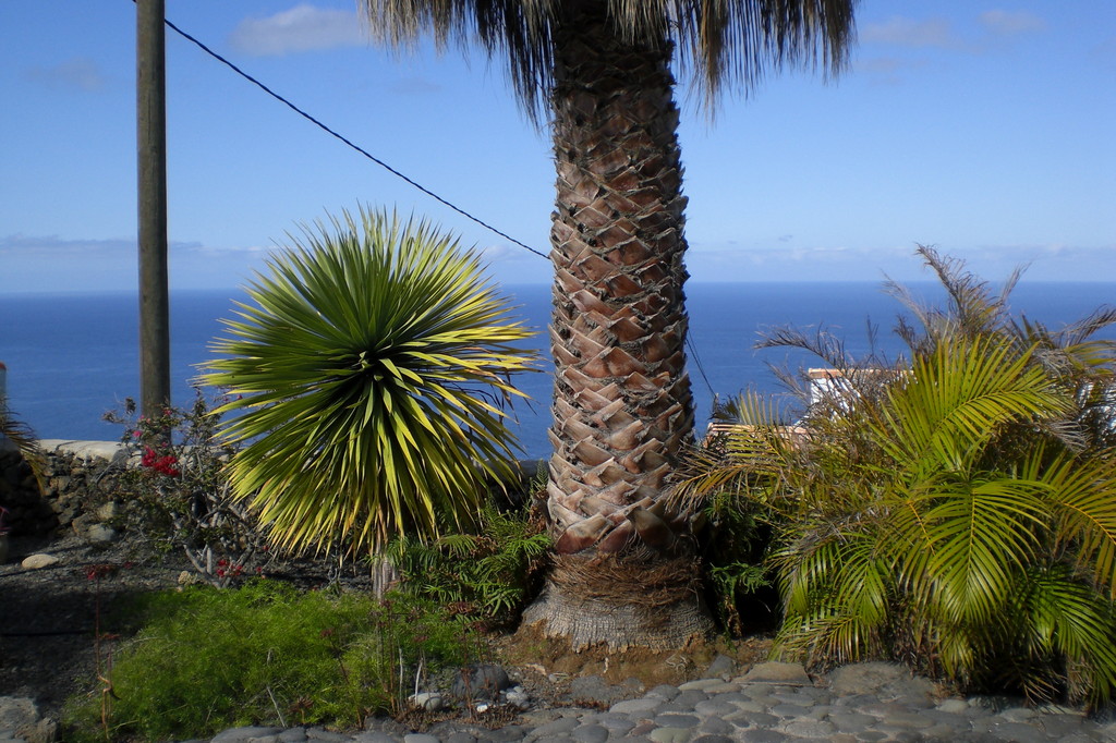 Garten Bungalow (Blick Richtung Westen)