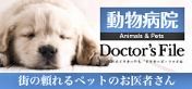 練馬区/東京ラブリー動物病院が練馬区の信頼できる動物病院に紹介されました