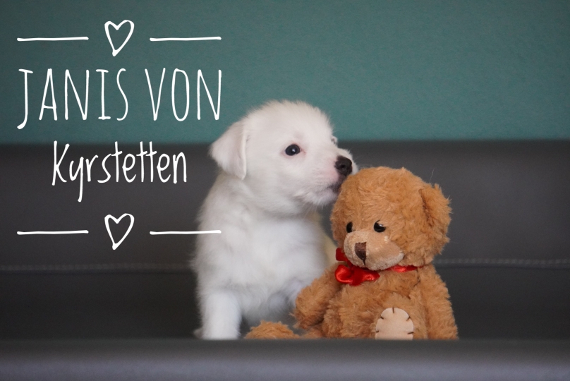 Vergeben