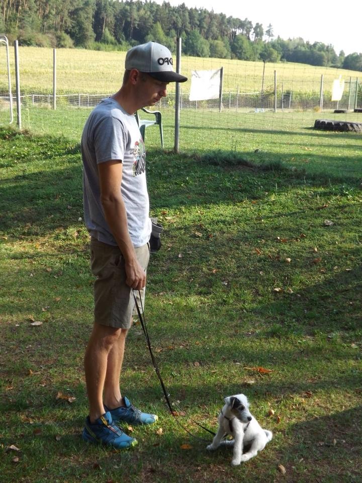 geht fleißig mit Herrchen in die Hundeschule ....