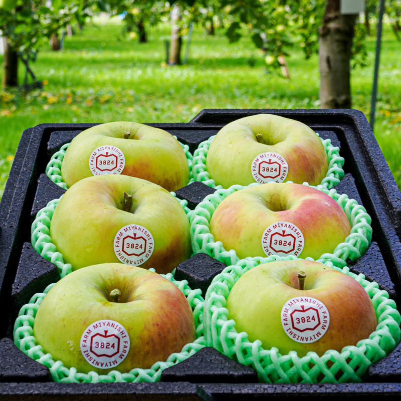 ⬜︎ Premium Juice - 宮西農園ウェブサイト