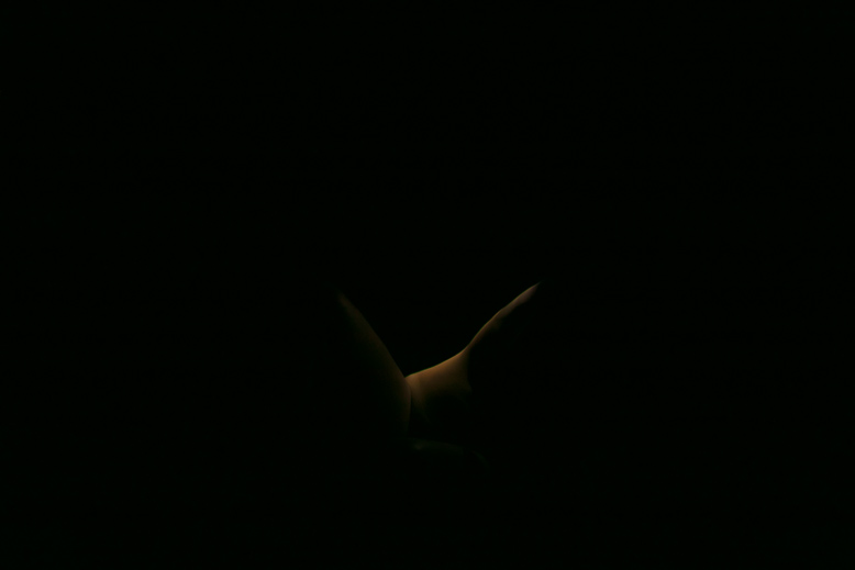 Fotografia fine art di nudo artistico dal portfolio 1220 di Alessandro Tintori