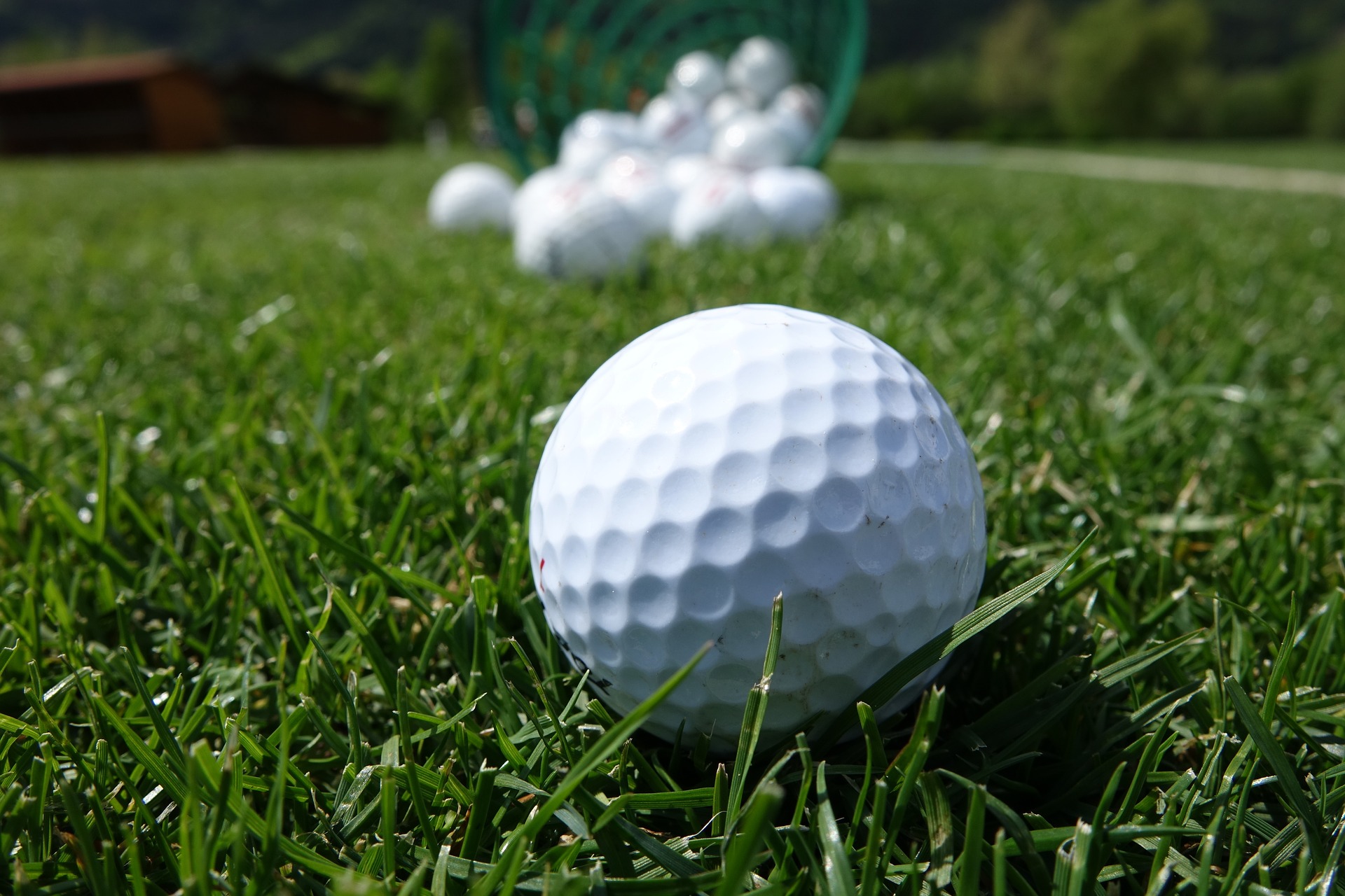 Accueil Comité Pitch and Putt France