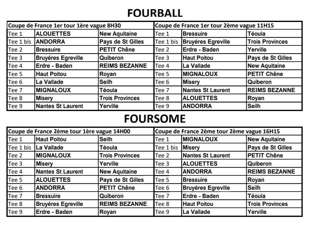 Competition Comite Pitch And Putt France