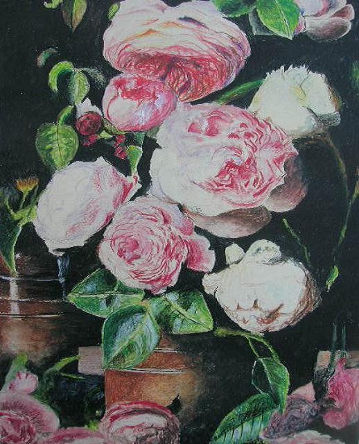 ROSES ANGLAISES N° 2 300 X 400  -  2001